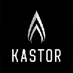 Дровяные печи Kastor